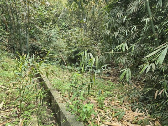 竹崎農地-0