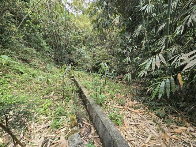 竹崎農地-1